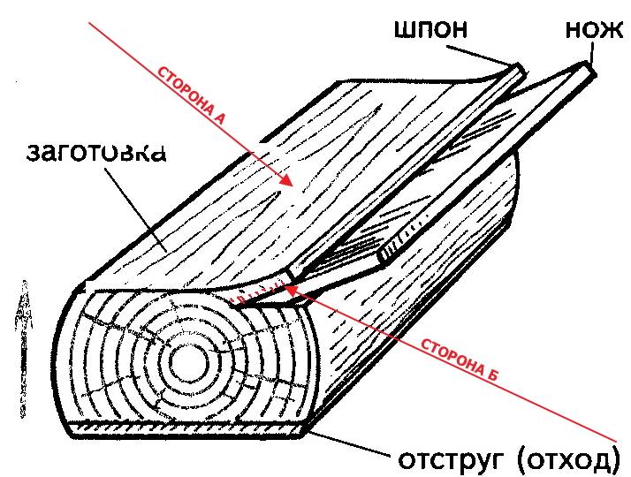 Как получают шпон и фанеру